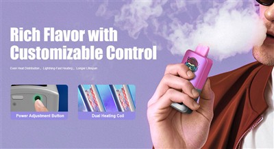 ভিপ্লাস ব্র্যান্ড স্টোরি|উদ্ভাবন ভবিষ্যতকে চালিত করে, প্রযুক্তি অভিজ্ঞতা আলোক...